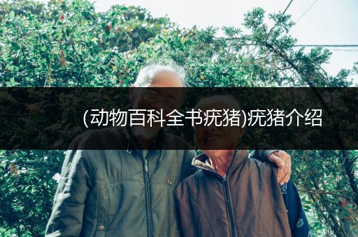 （动物百科全书疣猪)疣猪介绍