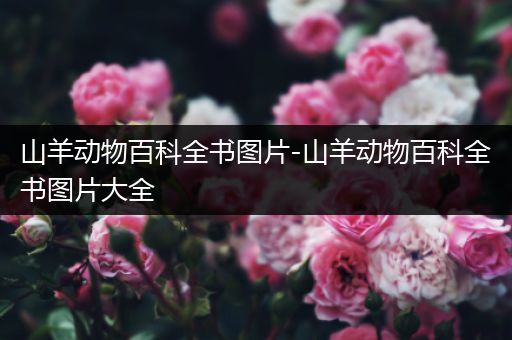 山羊动物百科全书图片-山羊动物百科全书图片大全