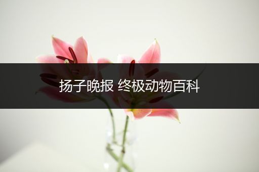 扬子晚报 终极动物百科