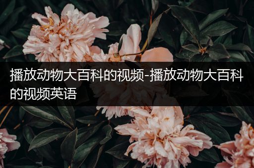 播放动物大百科的视频-播放动物大百科的视频英语