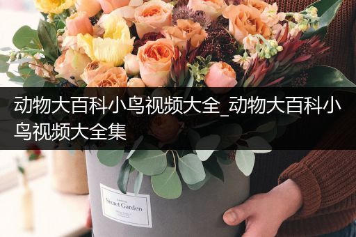 动物大百科小鸟视频大全_动物大百科小鸟视频大全集