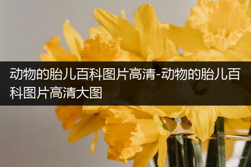 动物的胎儿百科图片高清-动物的胎儿百科图片高清大图