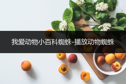 我爱动物小百科蜘蛛-播放动物蜘蛛