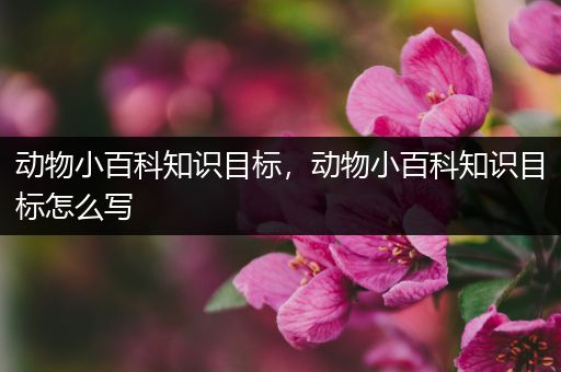 动物小百科知识目标，动物小百科知识目标怎么写