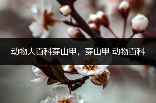 动物大百科穿山甲，穿山甲 动物百科