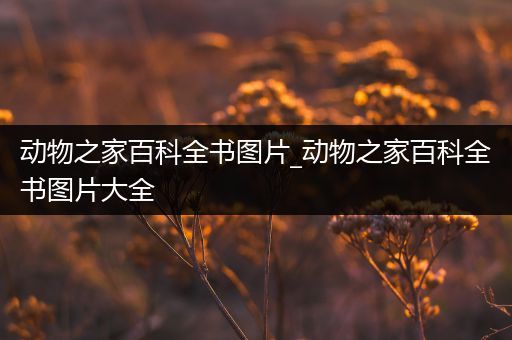 动物之家百科全书图片_动物之家百科全书图片大全