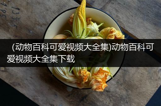 （动物百科可爱视频大全集)动物百科可爱视频大全集下载