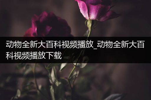 动物全新大百科视频播放_动物全新大百科视频播放下载
