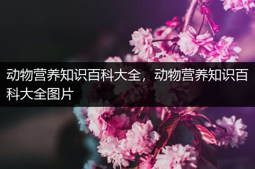 动物营养知识百科大全，动物营养知识百科大全图片