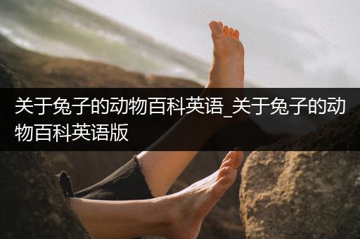 关于兔子的动物百科英语_关于兔子的动物百科英语版