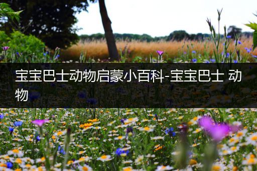 宝宝巴士动物启蒙小百科-宝宝巴士 动物