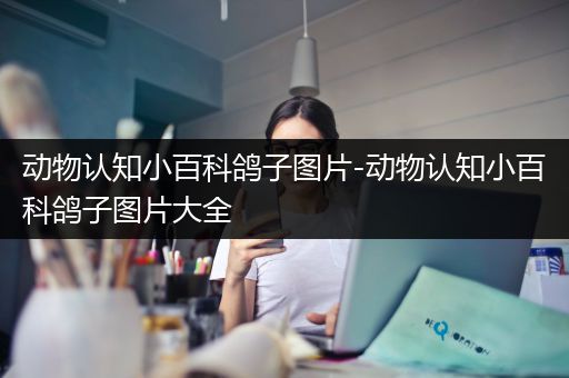 动物认知小百科鸽子图片-动物认知小百科鸽子图片大全