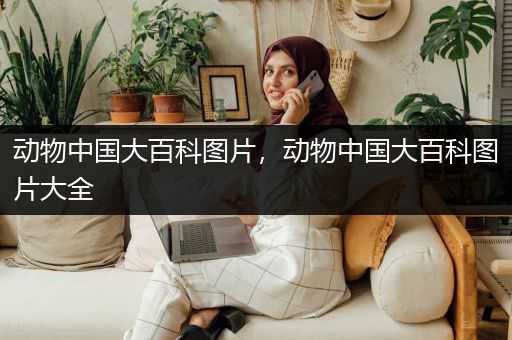 动物中国大百科图片，动物中国大百科图片大全
