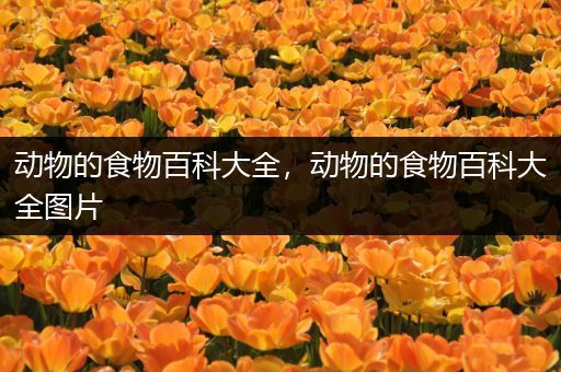 动物的食物百科大全，动物的食物百科大全图片
