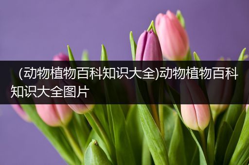 （动物植物百科知识大全)动物植物百科知识大全图片