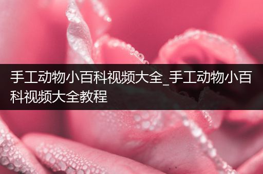 手工动物小百科视频大全_手工动物小百科视频大全教程