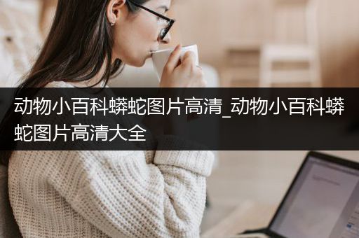 动物小百科蟒蛇图片高清_动物小百科蟒蛇图片高清大全