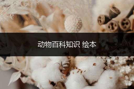 动物百科知识 绘本