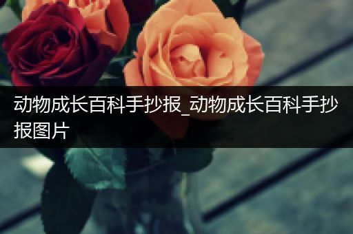 动物成长百科手抄报_动物成长百科手抄报图片
