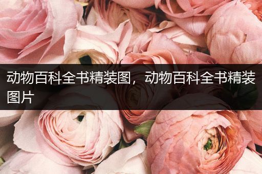 动物百科全书精装图，动物百科全书精装图片