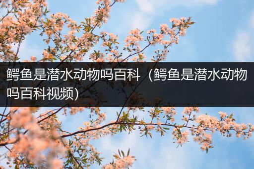 鳄鱼是潜水动物吗百科（鳄鱼是潜水动物吗百科视频）