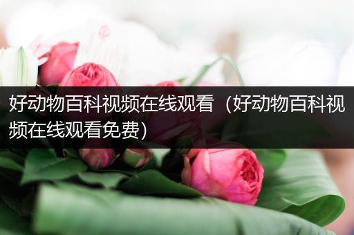 好动物百科视频在线观看（好动物百科视频在线观看免费）