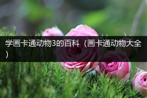 学画卡通动物3的百科（画卡通动物大全）
