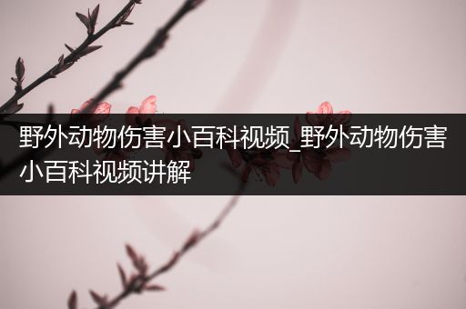 野外动物伤害小百科视频_野外动物伤害小百科视频讲解