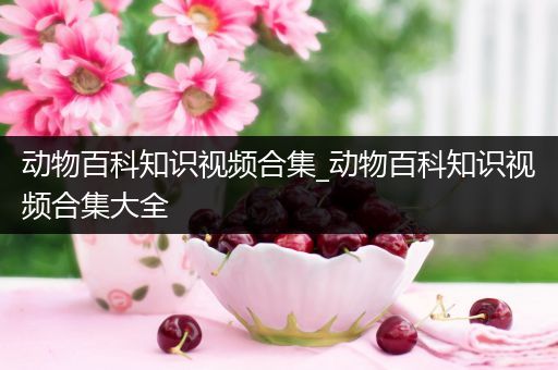 动物百科知识视频合集_动物百科知识视频合集大全