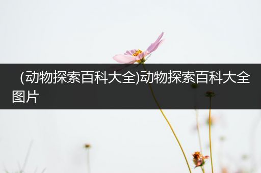 （动物探索百科大全)动物探索百科大全图片