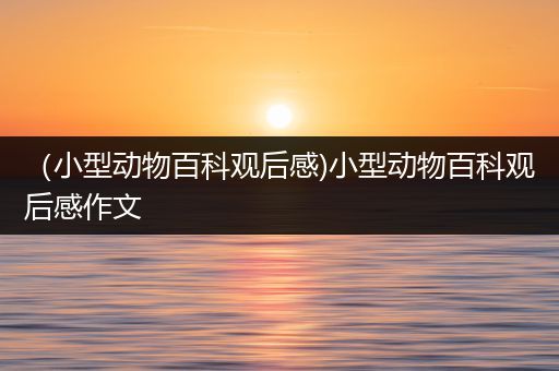 （小型动物百科观后感)小型动物百科观后感作文