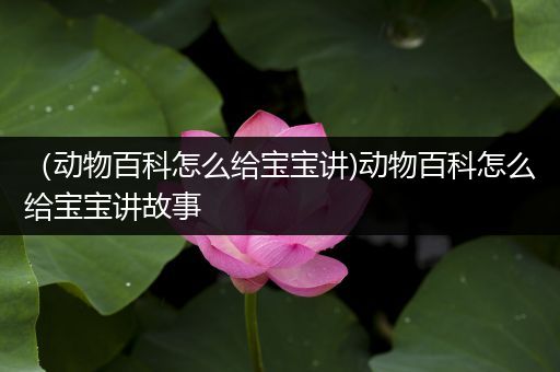 （动物百科怎么给宝宝讲)动物百科怎么给宝宝讲故事