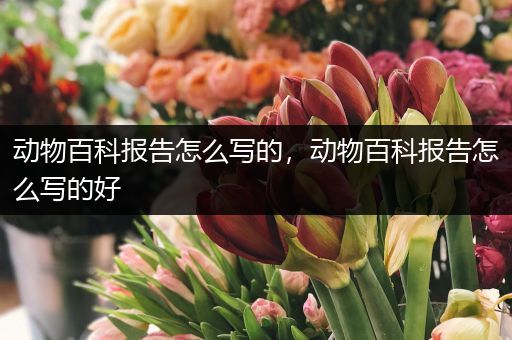 动物百科报告怎么写的，动物百科报告怎么写的好