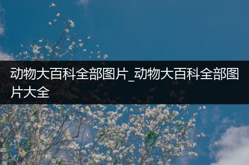 动物大百科全部图片_动物大百科全部图片大全