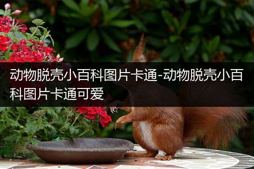 动物脱壳小百科图片卡通-动物脱壳小百科图片卡通可爱