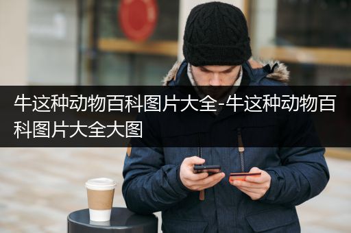 牛这种动物百科图片大全-牛这种动物百科图片大全大图