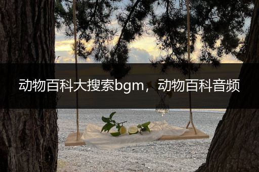 动物百科大搜索bgm，动物百科音频