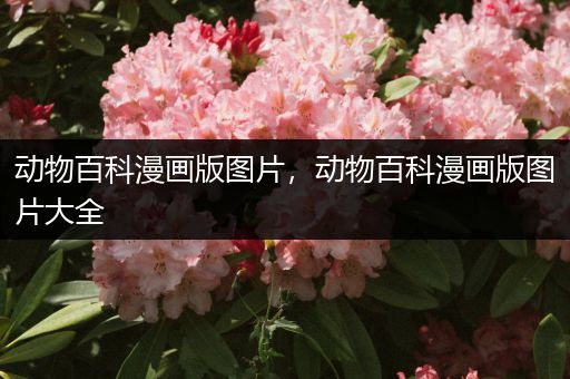 动物百科漫画版图片，动物百科漫画版图片大全