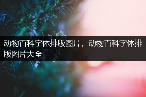 动物百科字体排版图片，动物百科字体排版图片大全