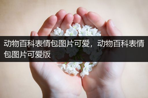 动物百科表情包图片可爱，动物百科表情包图片可爱版