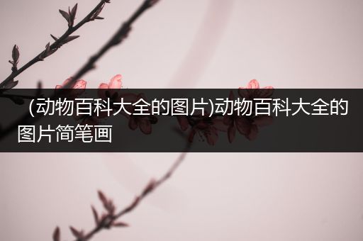 （动物百科大全的图片)动物百科大全的图片简笔画