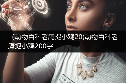 （动物百科老鹰捉小鸡20)动物百科老鹰捉小鸡200字