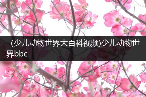 （少儿动物世界大百科视频)少儿动物世界bbc