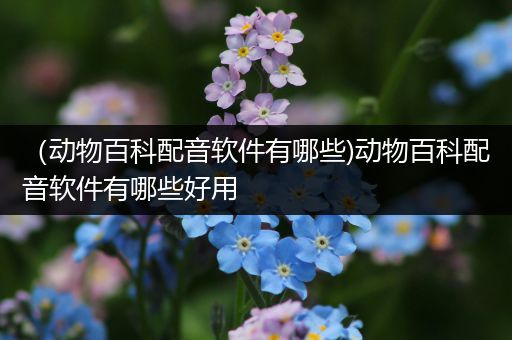 （动物百科配音软件有哪些)动物百科配音软件有哪些好用