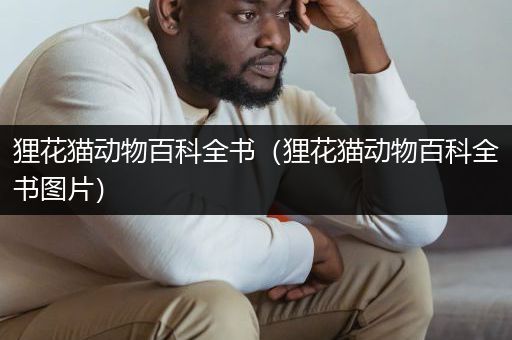 狸花猫动物百科全书（狸花猫动物百科全书图片）