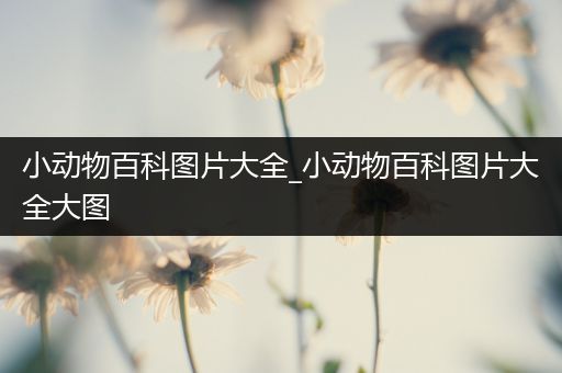 小动物百科图片大全_小动物百科图片大全大图