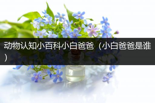 动物认知小百科小白爸爸（小白爸爸是谁）