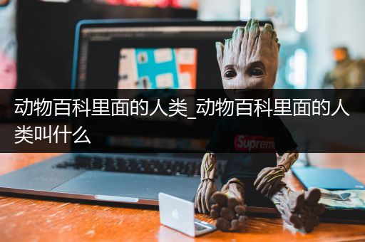 动物百科里面的人类_动物百科里面的人类叫什么