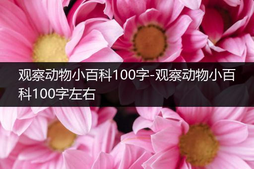 观察动物小百科100字-观察动物小百科100字左右