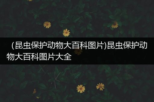 （昆虫保护动物大百科图片)昆虫保护动物大百科图片大全